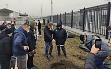Каждый мужик должен посадить дерево